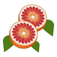 schijfje pomelo of grapefruit met blad voor apps en websites vector