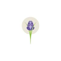 lavendel pictogram vector illustratie ontwerpsjabloon