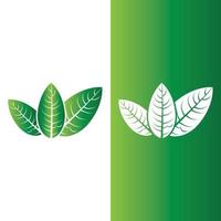 logo's van groene boom blad ecologie vector