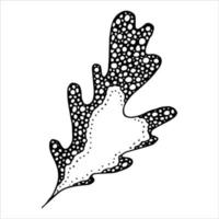 vector hand getekend eikenblad. herfst illustratie. gedetailleerde botanische clipart