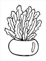 schattige handgetekende kamerplant in een pot clipart. plant illustratie. gezellige huiskrabbel vector