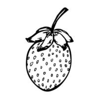 vector aardbei clipart. hand getekende bessen icoon. vruchten illustratie. voor print, web, design, decor