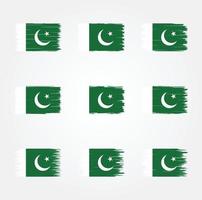 Pakistaanse vlagborstel. nationale vlag vector