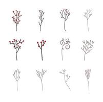 aquifolium boom en hulst voor decoratie vector collectie