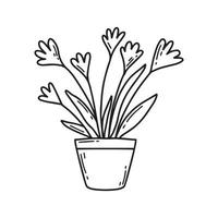 kamerplant in een pot. mooie kamerplant. een mooi plantje. vectorillustratie in doodle stijl. vector