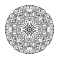 heel mooie mandala vector