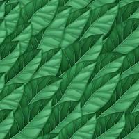 naadloos patroon van donkergroene bladeren. herhalend vectorpatroon van bladeren. vector textuur voor achtergrond, behang, textiel, verpakking, print ontwerp. vectorillustratie.
