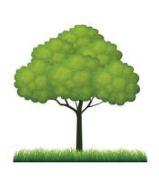 groene lente boom. vectorillustratie. vector