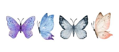 kleurrijke vlinders aquarel geïsoleerd op een witte achtergrond. paars, blauw, grijs of zilver en crème roze vlinder. lente dierlijke vectorillustratie vector