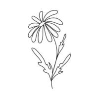 silhouet afbeelding van kamille. vectorillustratie van een bloem. bloemen en planten vector