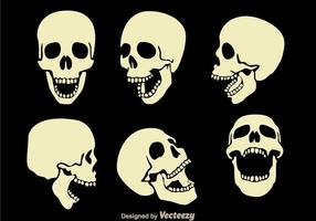 Schedelvectoren vector