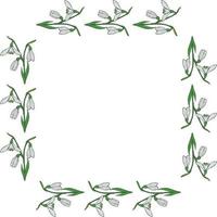 vierkante frame met horizontale mooie sneeuwklokjes op witte achtergrond. geïsoleerde vector bloemen patroon voor uw ontwerp.