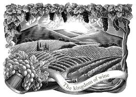 wijngaard met frame hand tekenen vintage gravure stijl zwart-wit illustraties geïsoleerd op een witte achtergrond vector