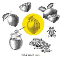 honing citroen elememt hand getrokken vintage gravure stijl zwart-wit illustraties geïsoleerd op een witte achtergrond vector