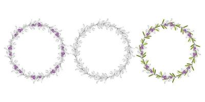 krans hand tekenen ronde frame rozemarijn takjes. set bloemenkransen met bladeren, takken. decoratieve elementen voor design. dudling overzicht silhouet. vector illustratie