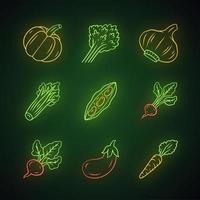 groenten neon licht iconen set. pompoen, biet, maïs, tomaat, aubergine, peper. vitamine. eetpatroon. gezonde voeding. vegetarisch eten. gloeiende borden. geïsoleerde vectorillustraties vector