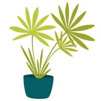 kamerplant in pot. gebladerte kamerplant groeit in bloempot. groene bladdecoratie voor interieur. natuurlijke binneninrichting. hand tekenen vectorillustratie geïsoleerd op een witte achtergrond vector