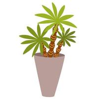 kamerplant in pot. gebladerte kamerplant groeit in bloempot. groene bladdecoratie voor interieur. natuurlijke binneninrichting. hand tekenen vectorillustratie geïsoleerd op een witte achtergrond vector