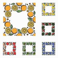 set van verschillende naadloze fruit frames. doodle vector fruit achtergrond met plaats voor tekst