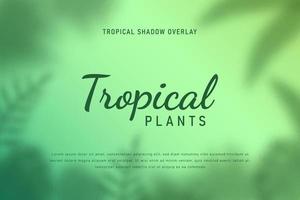 set van tropische bladeren schaduw overlay achtergrond illustratie vector