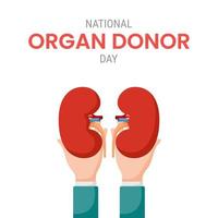 nationale orgaandonordag met nieren vector