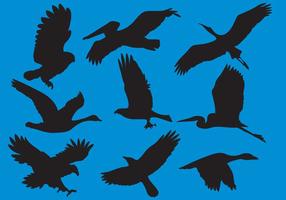 Wildfowl En Big Bird Silhouette Vectors