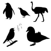 een reeks vogelsilhouetten. de vector is geïsoleerd op een witte achtergrond. pinguïn, struisvogel, mandarijn, nachtegaal, kwartel