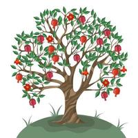 granaatappelboom geïsoleerd op een witte achtergrond. vector illustratie