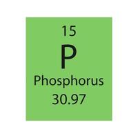 fosfor symbool. scheikundig element van het periodiek systeem. vectorillustratie. vector