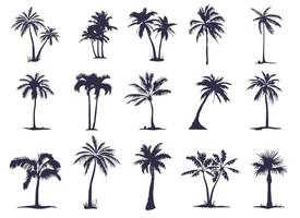 een grote reeks silhouetten van palmbomen. palmboomsilhouet voor uw behoeften en kunst vector