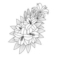 geïsoleerde bladeren en bloem doodle kleurplaat decoratief element voor afdruksjabloon vector