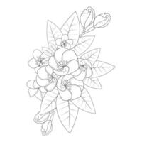 Plumeria bloem doodle kleurplaat pagina overzicht vectorillustratie van geïsoleerd op witte achtergrond vector