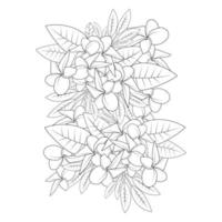 Plumeria bloem doodle kleurplaat pagina overzicht vectorillustratie van geïsoleerd op witte achtergrond vector