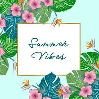 zomerse sferen. zomer groene tropische flyer ontwerpen met tropische bloemen en monstera bladeren. frame ontwerp. kopieer ruimte vector