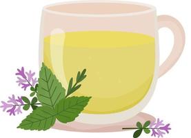 kruidenthee. kopje thee met tijm en munt. transparante kop met thee en bloemendecoratie. warme drank. gezondheidszorg. homeopathische behandeling. vectorillustratie op witte achtergrond. vector