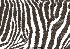 Zwart-witte Zebra Achtergrond vector