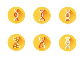 Dna icon set vector