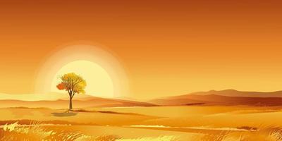 zonsondergang oranje hemel, herfst landschap in boerderij velden met grasland op berg, vectorcartoon herfst seizoen in platteland op witte achtergrond voor tekst, mooie natuurlijke voor thanksgiving banner vector