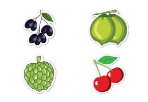 stickerset van verschillende soorten fruit, platte vectorillustratie vector