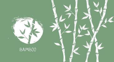 bamboe boom. handgetekende stijl. vectorillustraties. vector