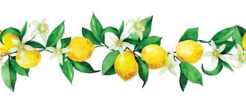 naadloze aquarel patroon, grens met citroenen. gele citroenen, bloemen en bladeren op een witte achtergrond. vintage afdrukken vector
