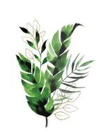 aquarel tekening. boeket, samenstelling van tropische bladeren en gouden elementen. groene en gouden bladeren van palm, eucalyptus, monstera geïsoleerd op een witte achtergrond vector