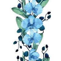 aquarel naadloze grens met blauwe transparante phalaenopsis orchideebloemen. naadloze print, patroon, verticale rand met transparante tropische bloemen en bladeren geïsoleerd op een witte achtergrond vector