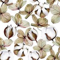 aquarel naadloos patroon met droge hortensia bloemen en katoen. herfstprint in boho-stijl. gedroogde bloemen geïsoleerd op een witte achtergrond. herfst achtergrond, realistische aquarel vector