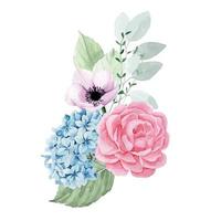 aquarel tekening. boeket, compositie met tuinbloemen. roze rozen, pioenrozen, blauwe hortensia's en groene eucalyptusbladeren. geïsoleerd op witte achtergrond clipart vector