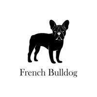 Franse Bulldog-logo vector