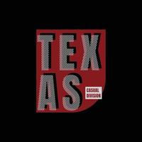 texas t-shirt en kledingontwerp vector