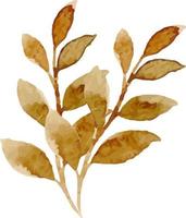 bladeren geschilderd in aquarel. vector