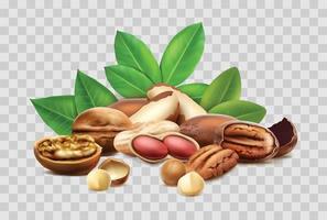 3D-realistische vector pictogram. verschillende noten, hazelnoot, macadamia, braziliaanse noot. gepeld, ongepeld, bladeren. geïsoleerd.