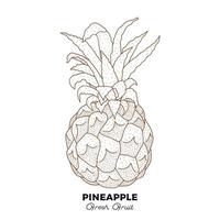 ananas vintage fruit tekening vector